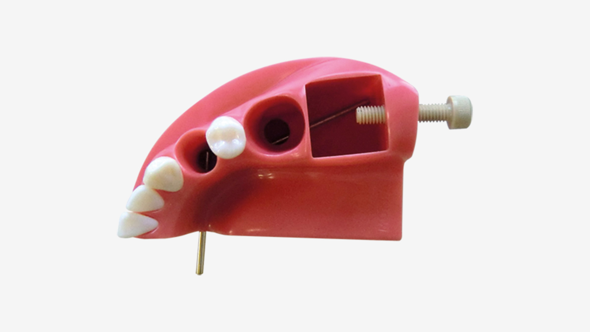 Simulateur de formation à l’endodontie F5-TM-ZX