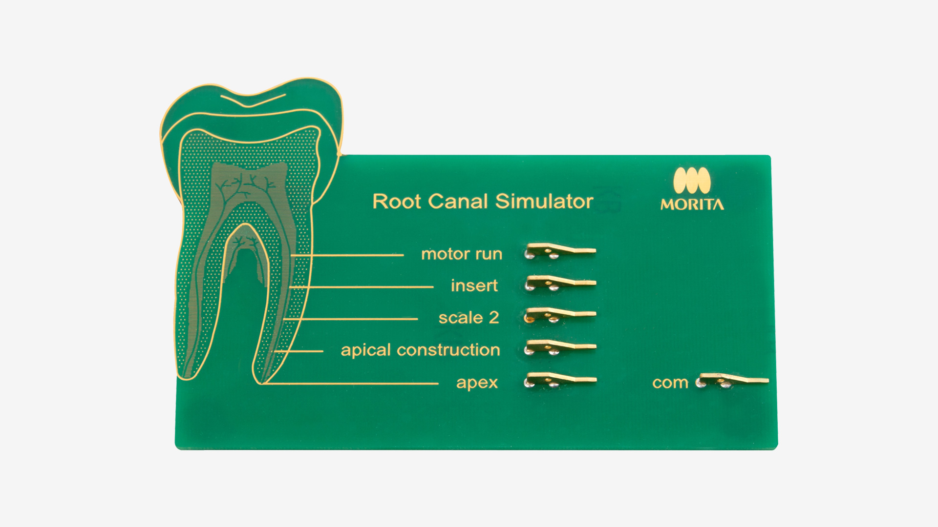 Simulateur de canal radiculaire PCB